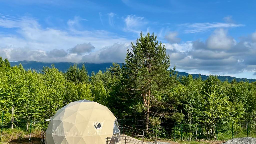Příroda nedaleko luxury tent