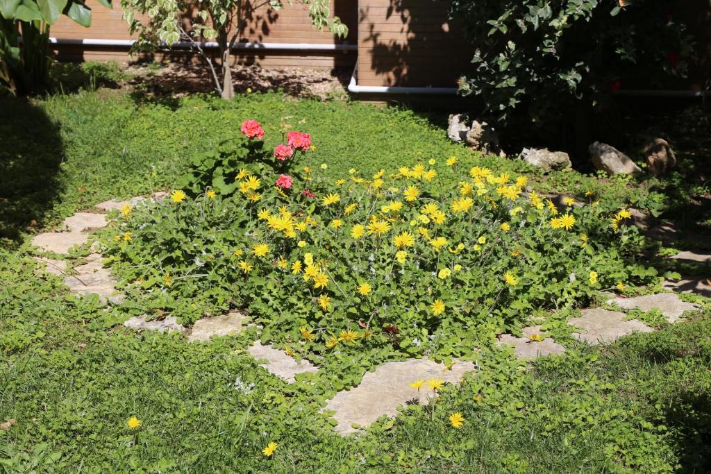 Zahrada ubytování Virò House
