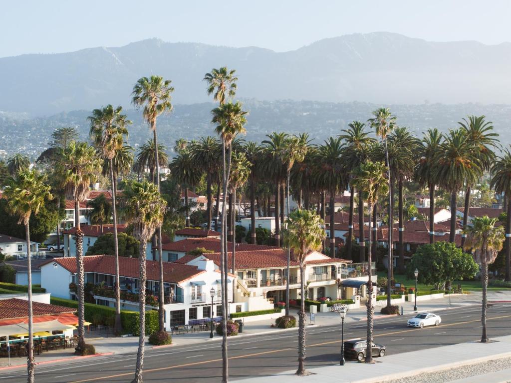 a city with palm trees and a street at The Milo in Santa Barbara
