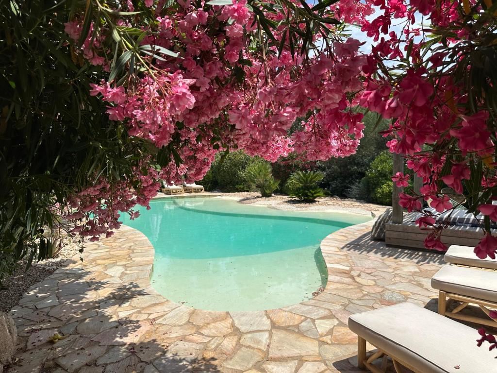 Πισίνα στο ή κοντά στο Luxueuse Villa, Hyper centre PORT de PORTO VECCHIO