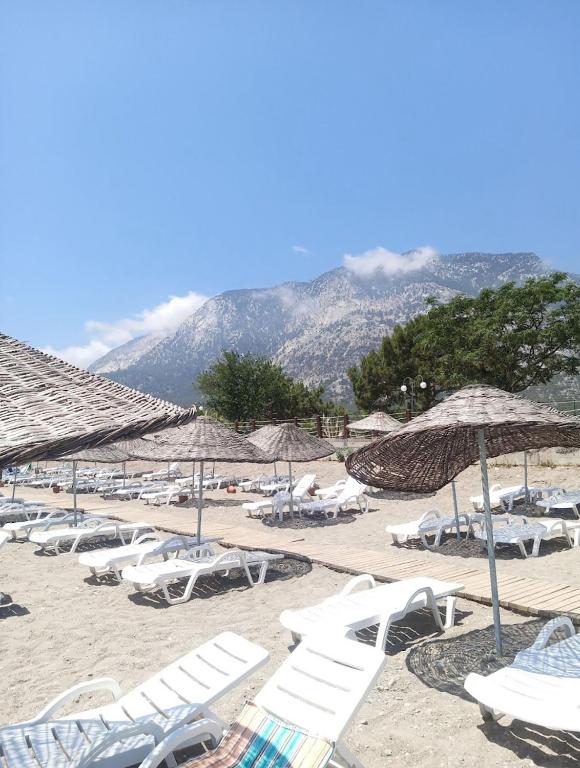 Příroda nedaleko hotelu