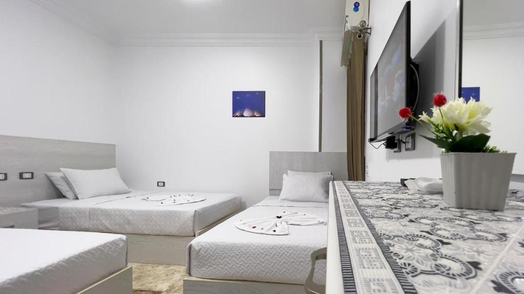 TV a/nebo společenská místnost v ubytování Golden Pyramids Alaska Inn
