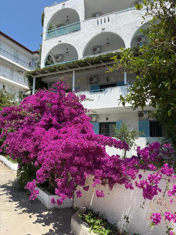 Zahrada ubytování Astri Hotel