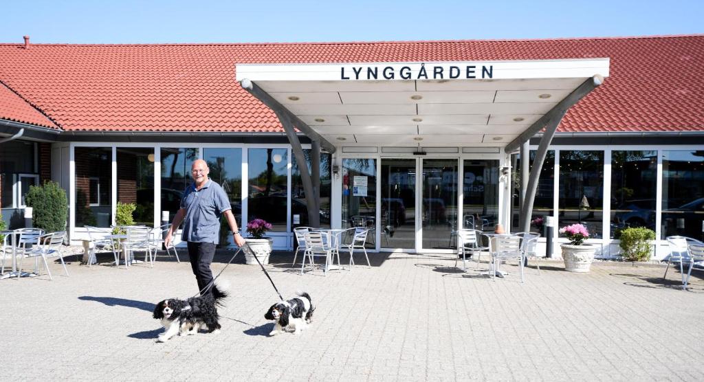 Hosté ubytování Hotel Lynggaarden