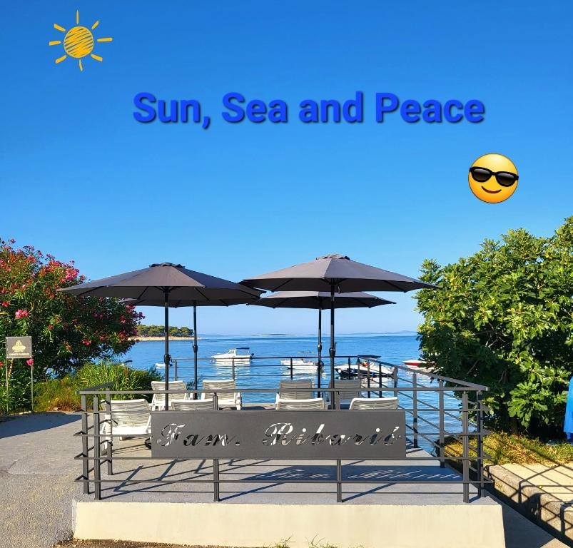 Naturlandskabet i nærheden af lejligheden