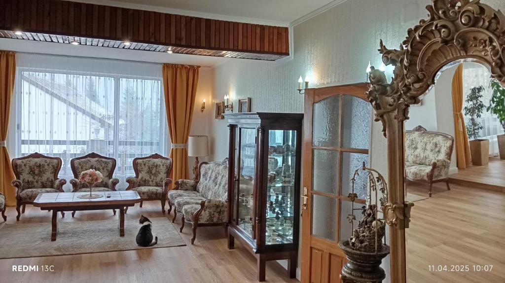 Χώρος καθιστικού στο Vila Iulia Busteni