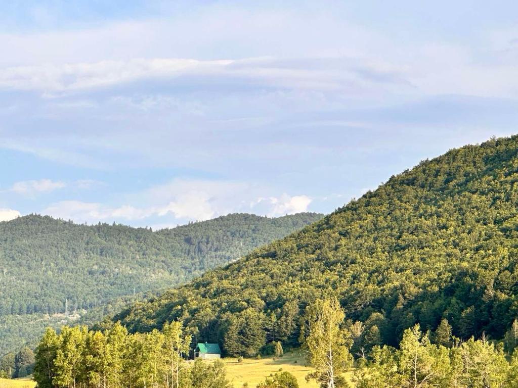 普卢日内Forest Panorama Cabin Brezna的相册照片