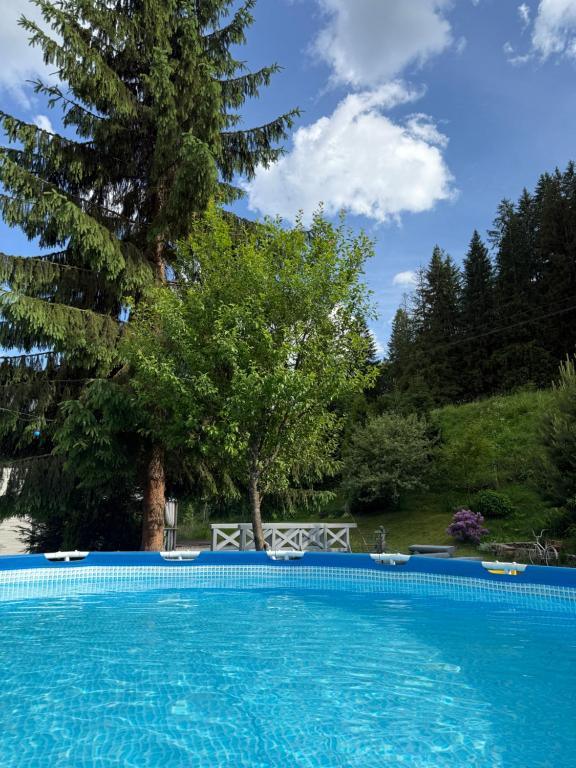 Bazén v ubytování Sadyba Dana nebo v jeho okolí