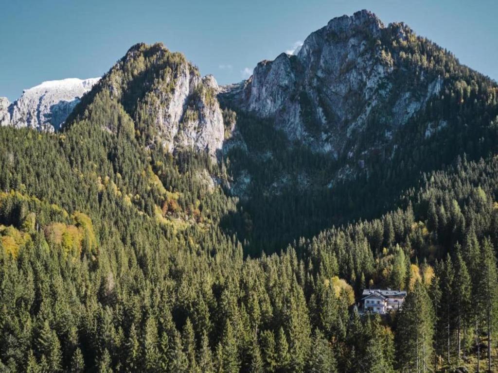 Příroda nedaleko apartmánu