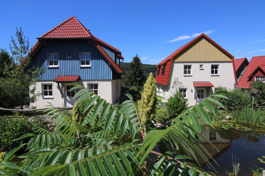 uma fila de casas com telhados vermelhos ao lado de um lago em Hasseröder Ferienpark em Wernigerode