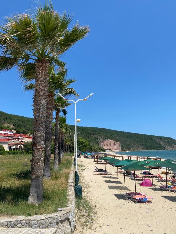 une rangée de palmiers sur une plage au bord de l'eau dans l'établissement ANDALUSIA BEACH A602 Elenite, à Bourgas