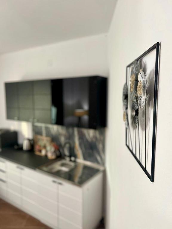 Kuchyň nebo kuchyňský kout v ubytování Apartments Katana