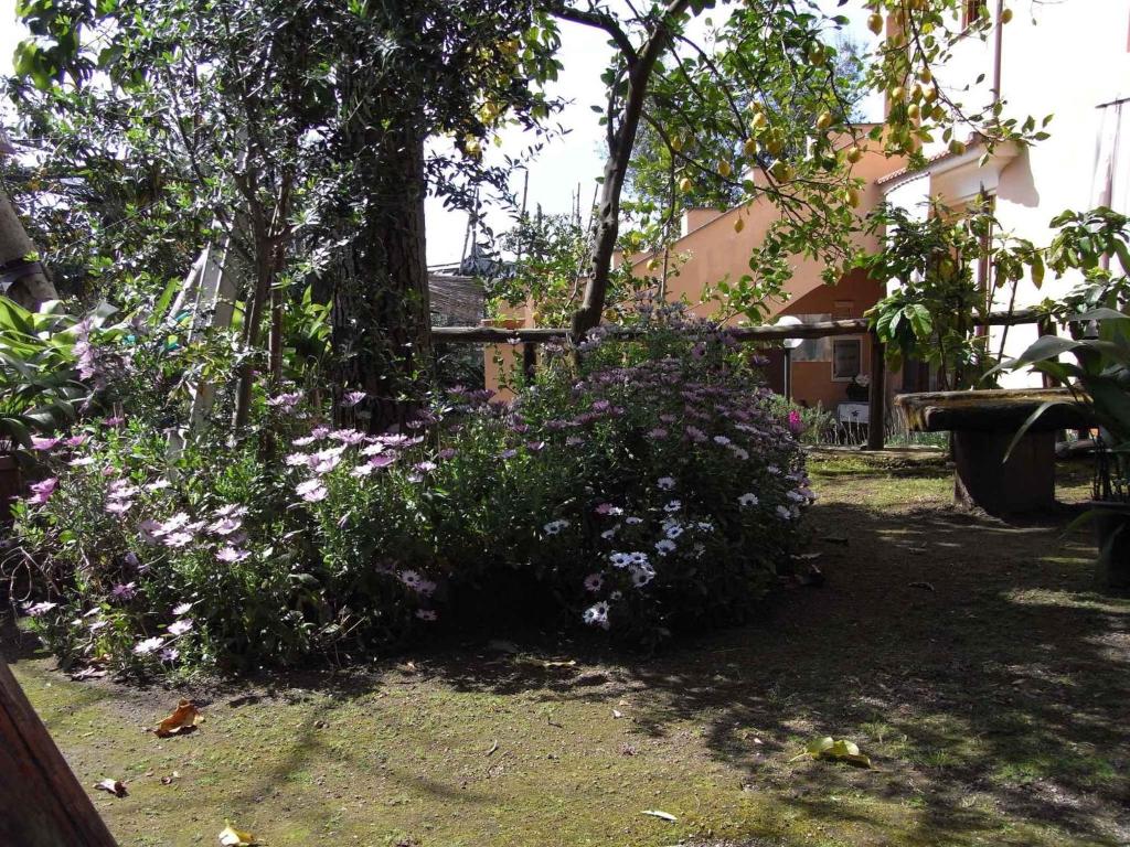 Ogród w obiekcie Apartment Sorrento 2