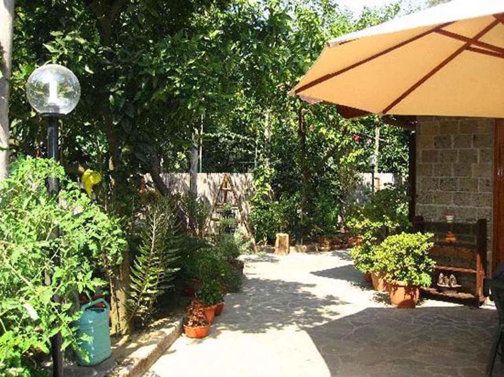 Ogród w obiekcie Apartment Sorrento 2