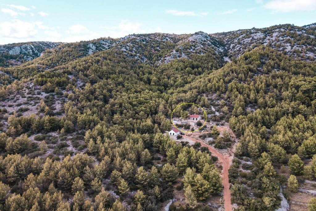 an aerial view of a house in the middle of a forest at Holiday house with a swimming pool Gromin Dolac, Hvar - 24689 in Jelsa