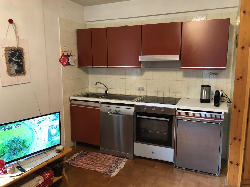 a kitchen with a sink and a stove top oven at Casa Solidea in Moena