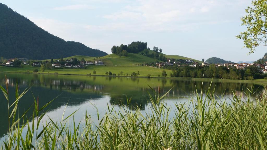 Příroda nedaleko bed and breakfast