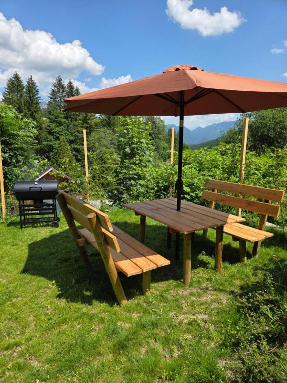 Příroda nedaleko apartmánu