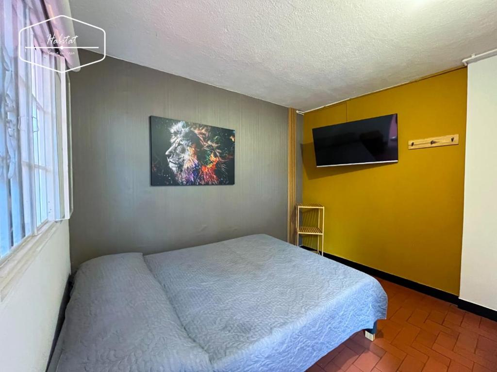 TV a/nebo společenská místnost v ubytování Hotel Habitat Hospedaje