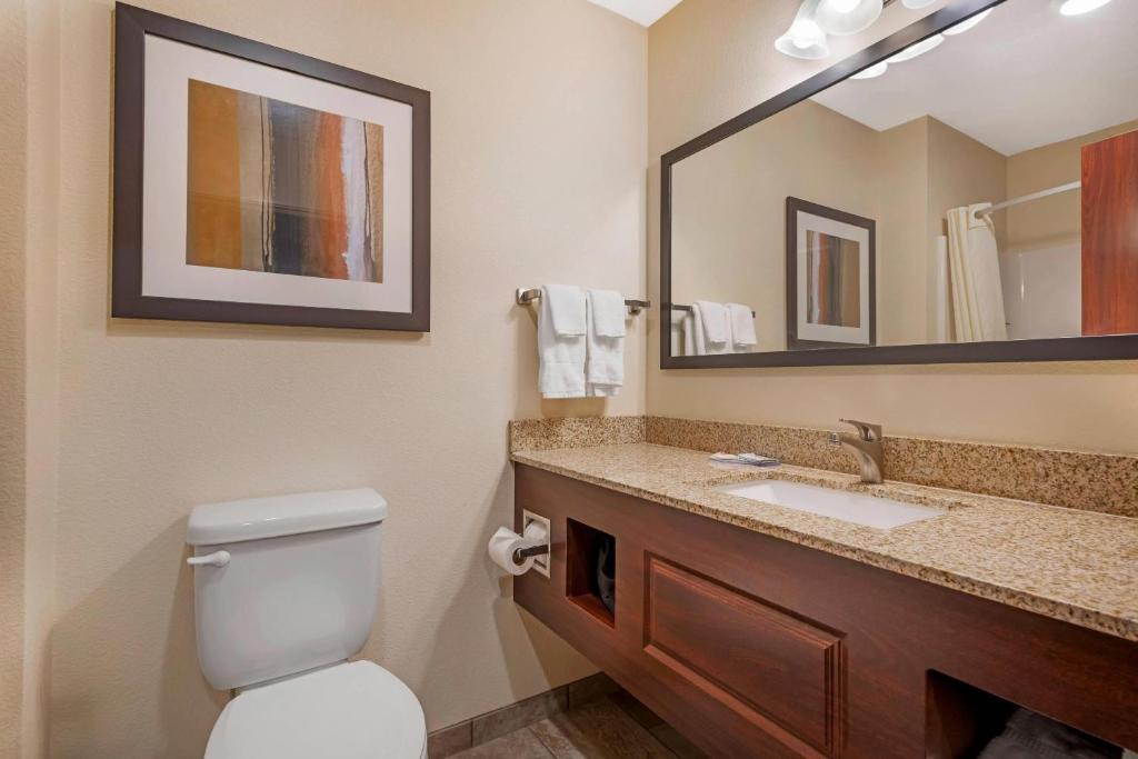Koupelna v ubytování Comfort Inn & Suites Morgan - South Ogden
