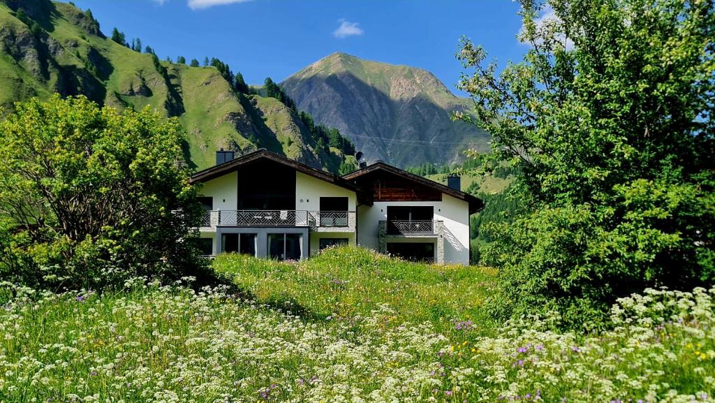 Príroda v okolí apartmánu
