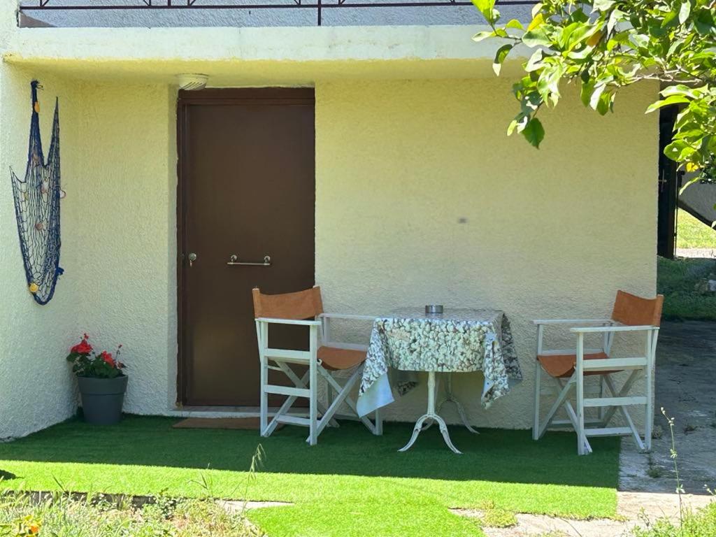 Zahrada ubytování Tiny Comfort House