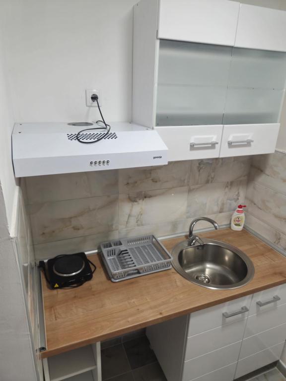 Kuchyň nebo kuchyňský kout v ubytování Apartman Jorgic