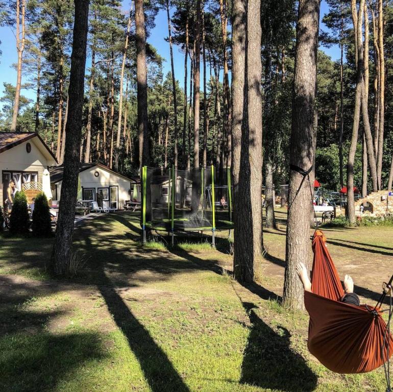a person laying in a hammock hanging from a tree at Sosenkowo Domki Letniskowe in Pobierowo