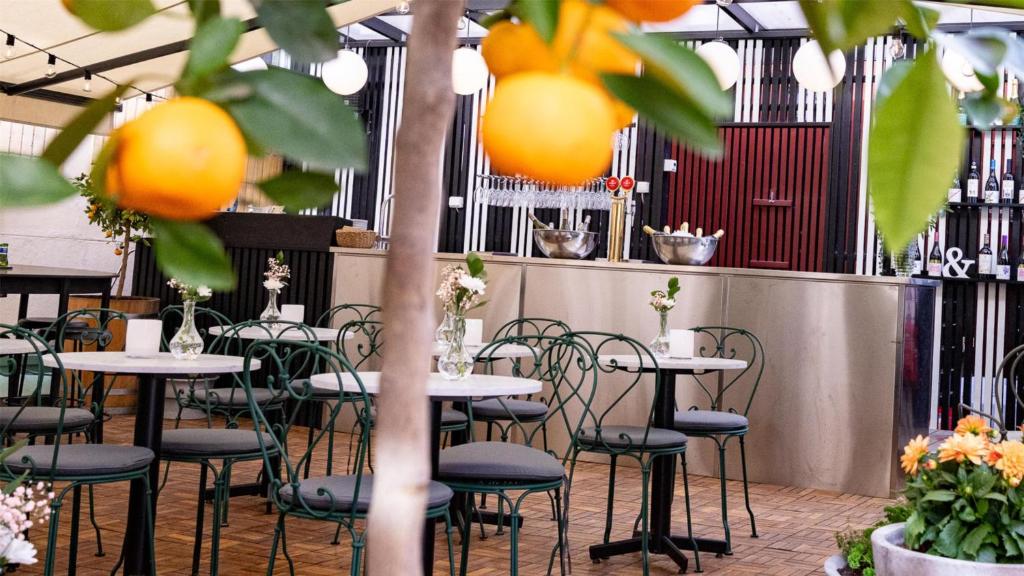 Best Western and hotel - Resim 35