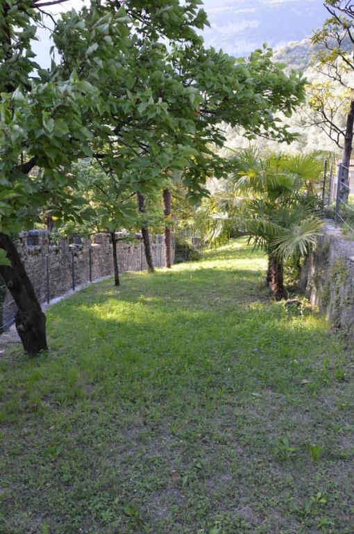 A garden outside Arco Climbing