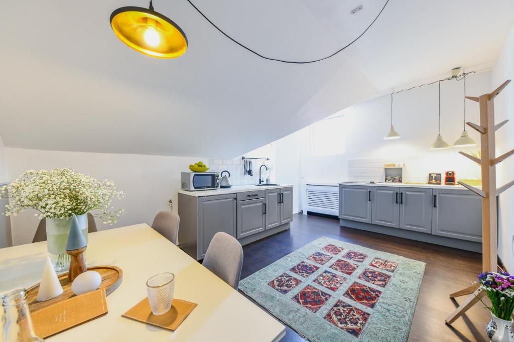 Kuchyň nebo kuchyňský kout v ubytování Cluj Napoca Apartments
