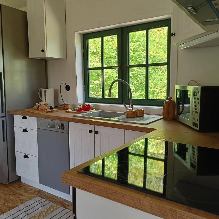 Dapur atau dapur kecil di Zielony Domek Letniskowy