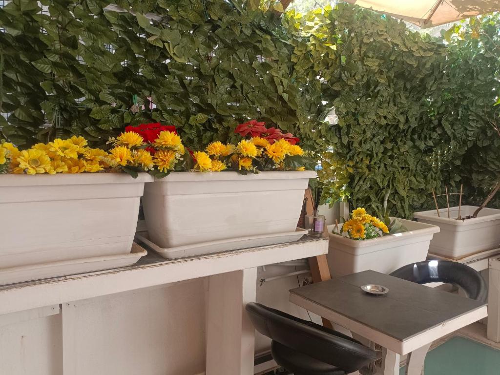 Suite vecchia Dante - 17