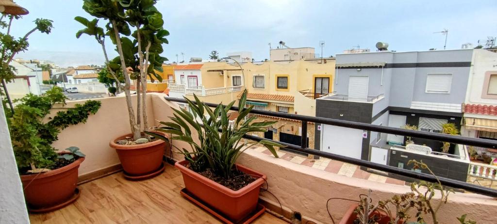 einen Balkon mit Topfpflanzen auf einem Gebäude in der Unterkunft Bustamante in Roquetas de Mar