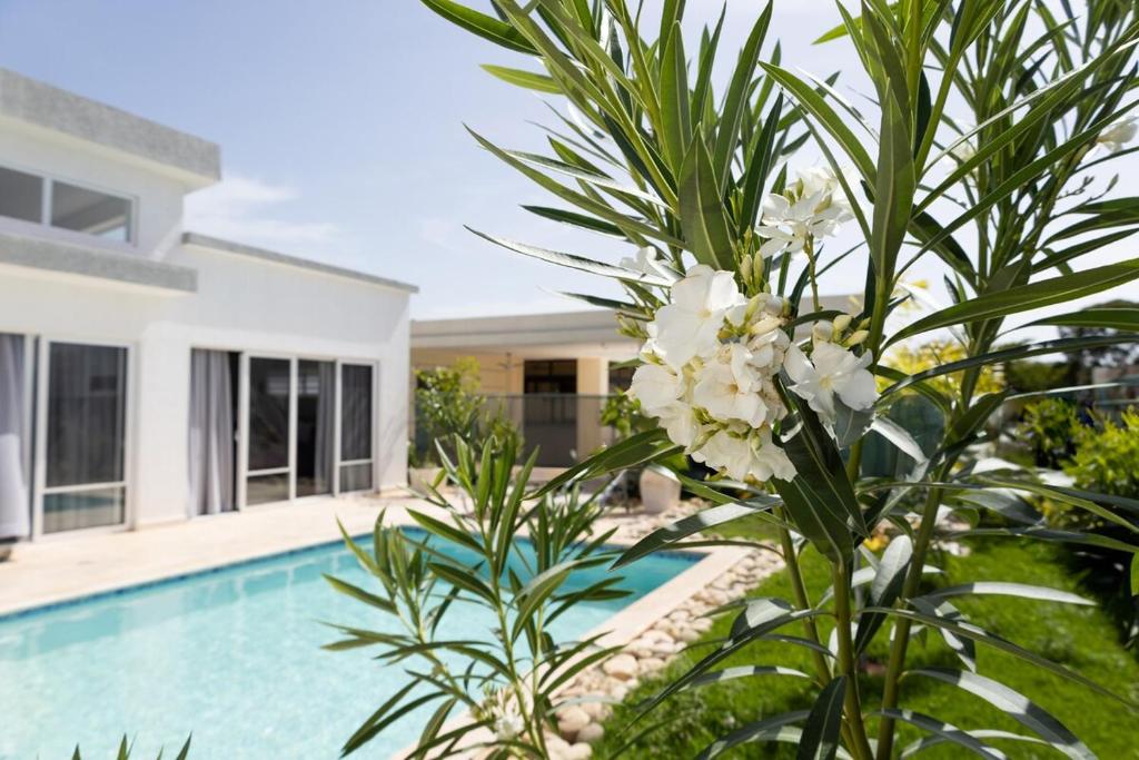 a villa with a swimming pool and a house at Book Villa 1002 Luxury in Sosua in Sosúa