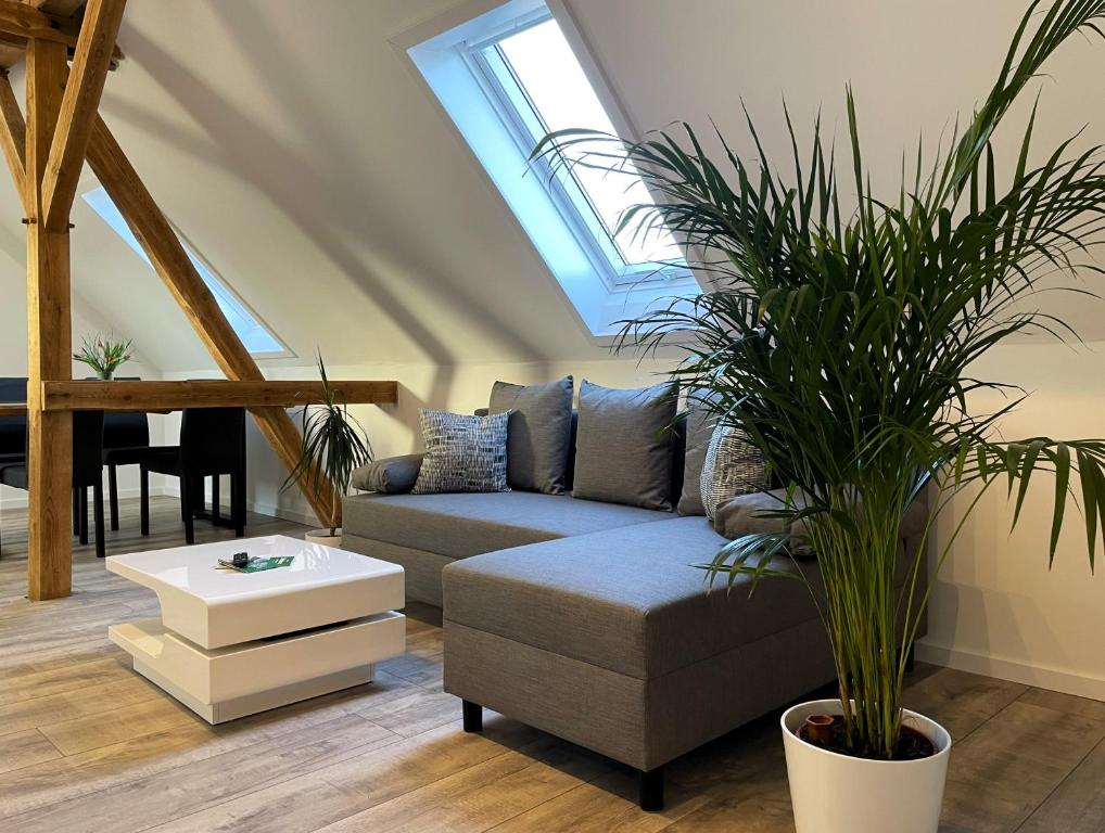 a living room with a couch and a plant at Ferienwohnungen Nochten in Nochten