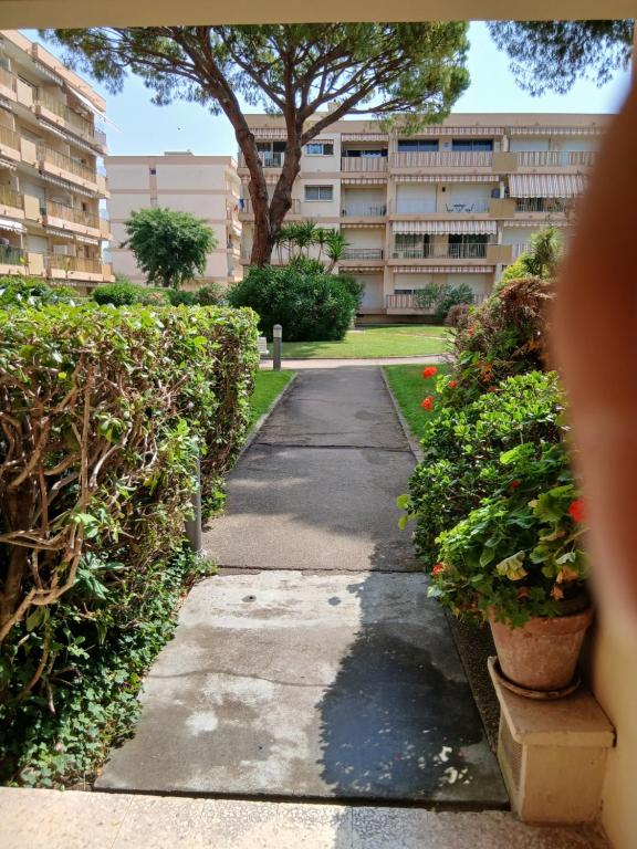 a walkway in front of a building with plants at Appartement proche centre ville 10min à pied de la mer in Mandelieu-la-Napoule
