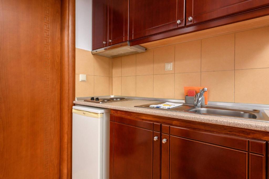 Kuchyň nebo kuchyňský kout v ubytování Villa Roxani