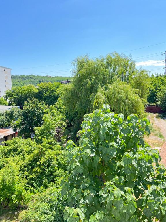 Premium Rooms & Boutique Apartments with Free Parking - Resim 5