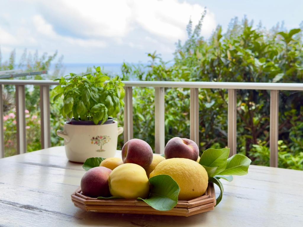 サヴォーナにある550 mt dal mare - Balcone e Vista Mozzafiatoの鉢植えの植物が置かれたテーブルの上に置かれた果物の皿