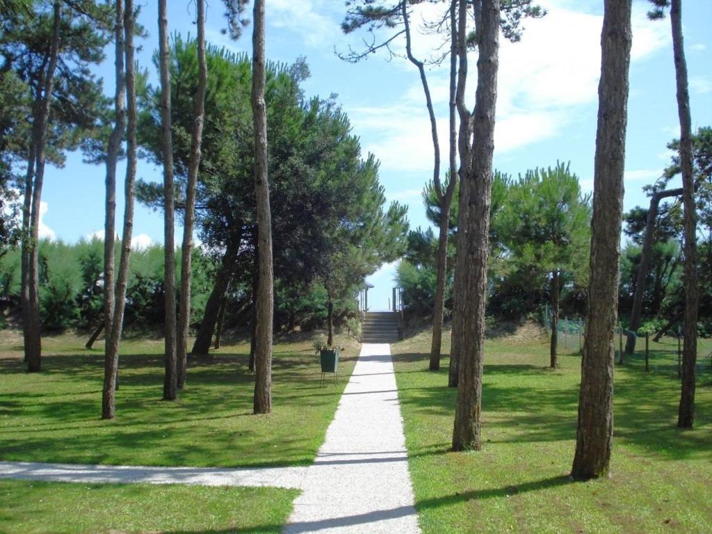 Príroda v okolí dovolenkového domu