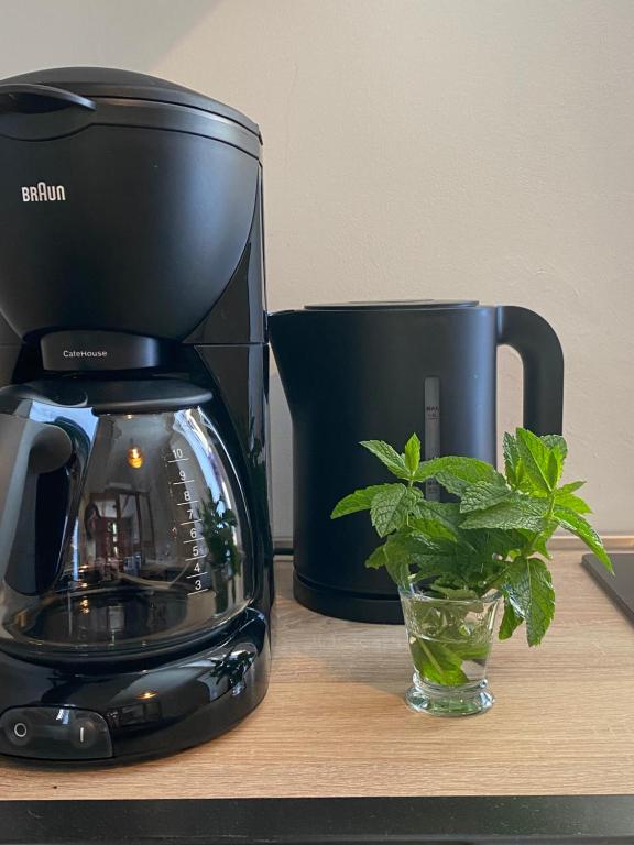 Schinkel Ferienunterkünfte Quedlinburg UNESCO Altstadt, Parkplatz inkl - 10