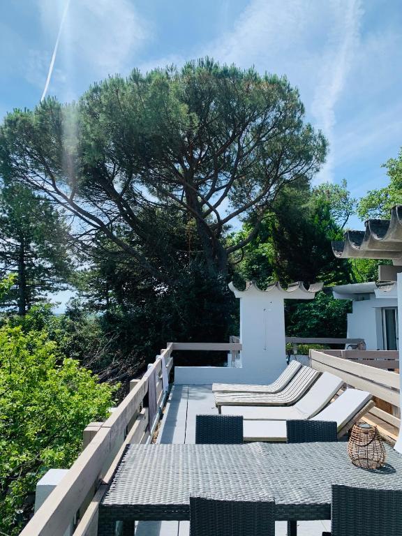une terrasse avec des chaises longues et un arbre sur une maison dans l'établissement Casa mARTa : Suites, terrasses et vue panoramique, à Tournon-sur-Rhône