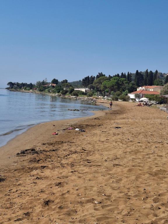 Táj Show holiday homes közelében