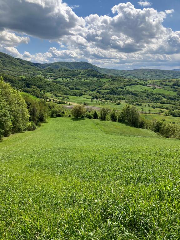 a field of green grass with mountains in the background at Tuscany Nature Relax in Pieve Santo Stefano