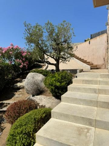 a set of stairs leading up to a building at Somptueuse villa d’architecte avec vue mer in Belvédère