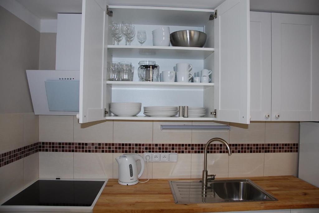 Kuchyň nebo kuchyňský kout v ubytování Apartment Ptačí Dům