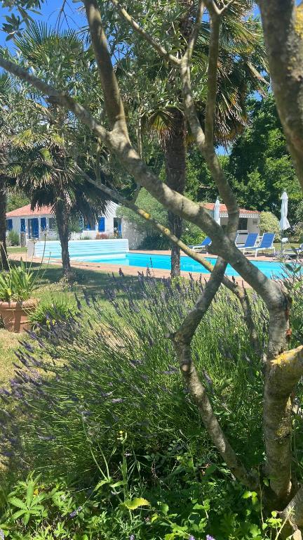 Bazén v ubytovaní Gîtes de charme "l'écrin de Vendée" jacuzzi privatif, piscine chauffée, prestations bien être, vélos à 10 mn de l'océan sur 3,5 h de verdure alebo v jeho blízkosti