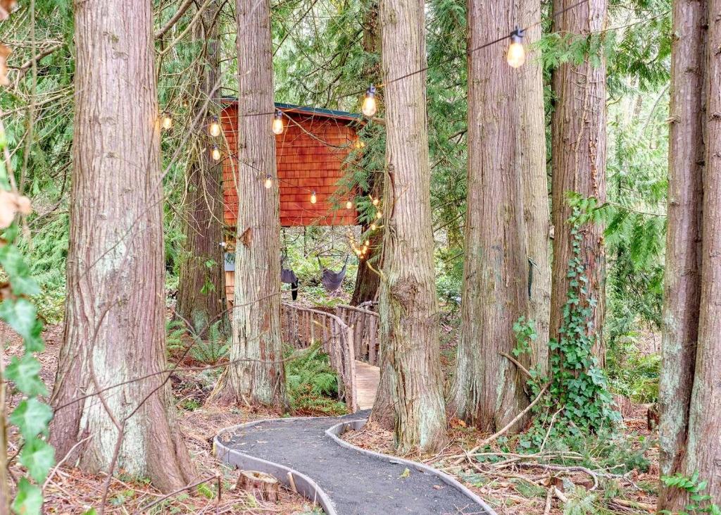 Un sendero entre los árboles con una cabaña al fondo. en Relaxing Tree House in Sequim, Washington, Perfect for a Glamping Getaway to Olympic National Park, en Sequim