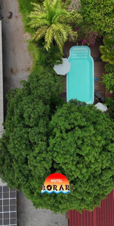 Hotel Borari